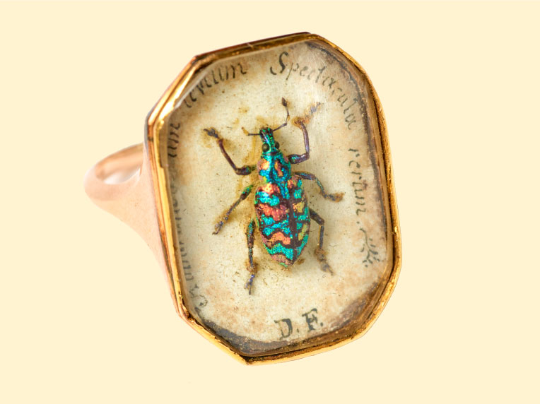 Cincin Kumbang